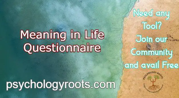 Meaning in Life Questionnaire
