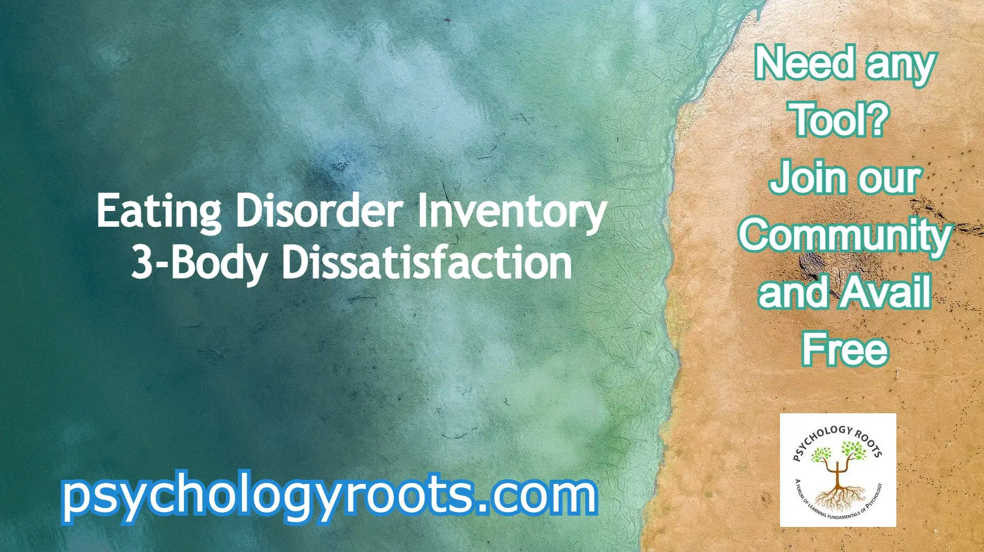 Eating Disorder Inventory 3-Body Dissatisfaction