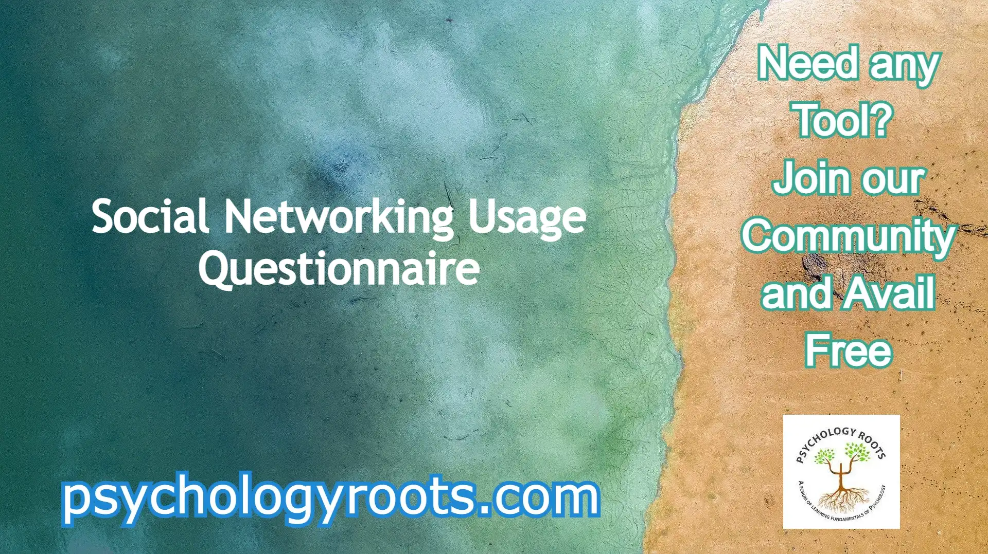 Social Networking Usage Questionnaire
