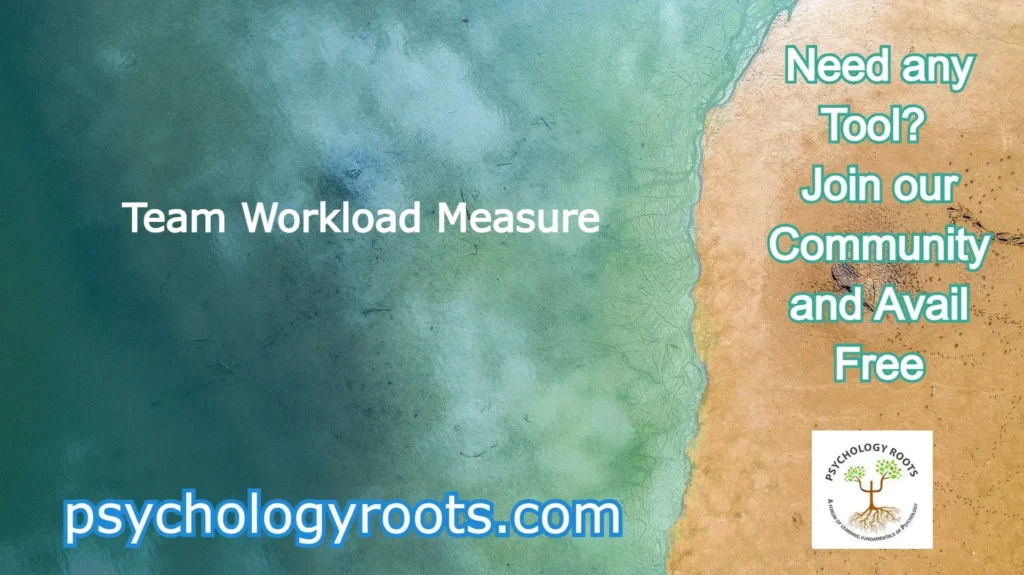 Team Workload Measure