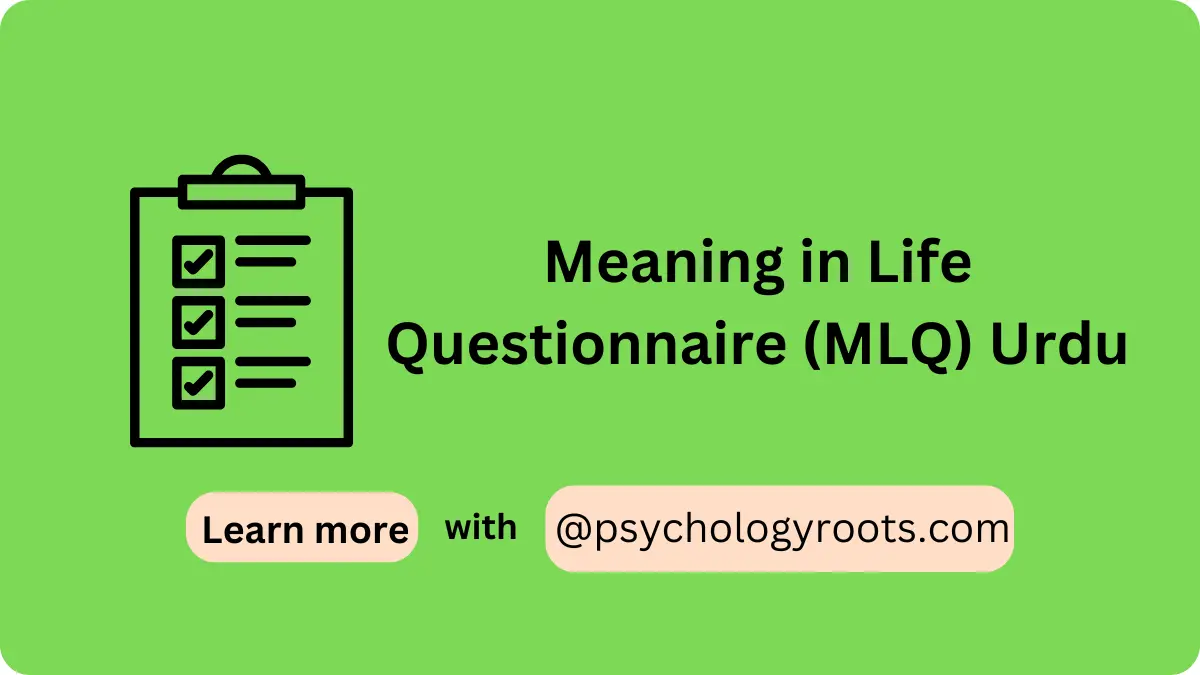 Meaning in Life Questionnaire (MLQ) Urdu