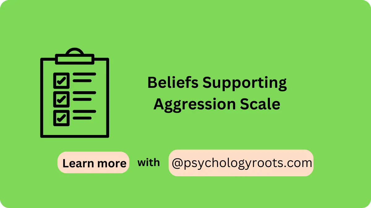 Beliefs Supporting Aggression Scale