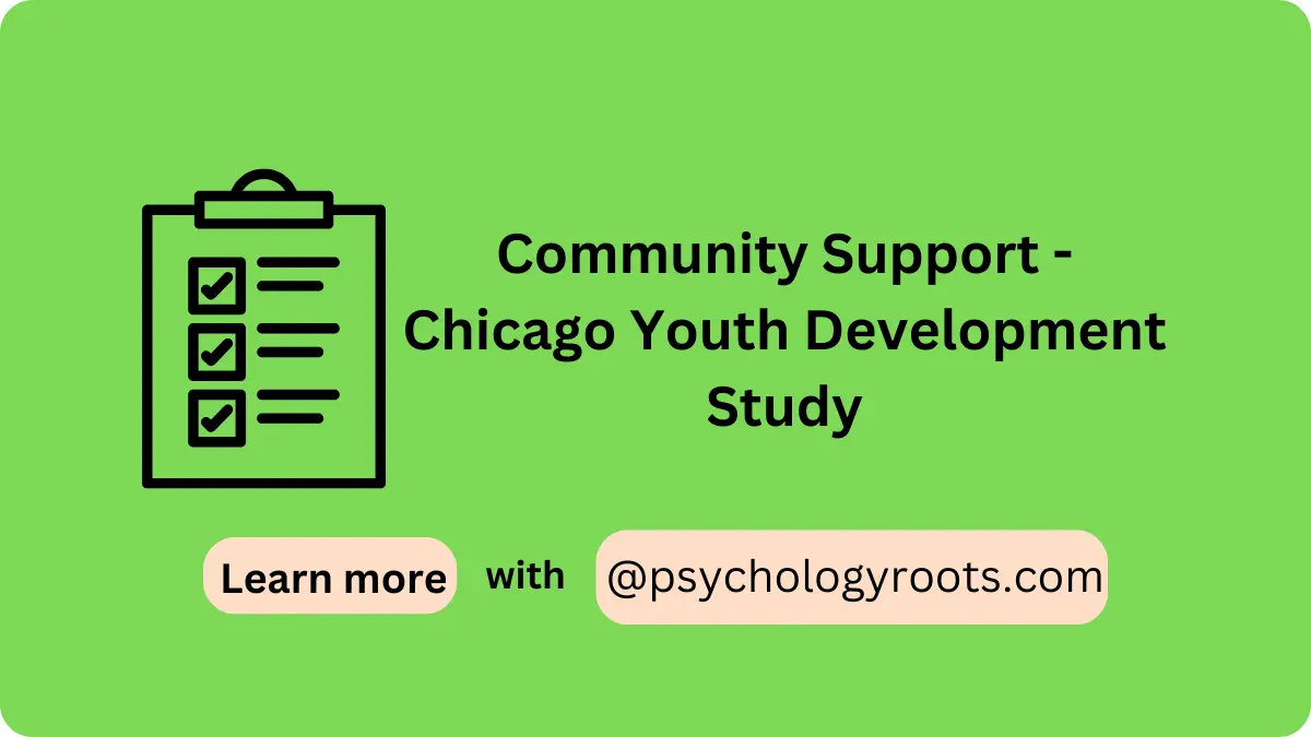 Community Support - Chicago Youth Development Study